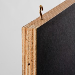 FRAMELESS FRAME (6)