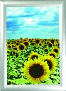 SNAP FRAME 45 MM (1)