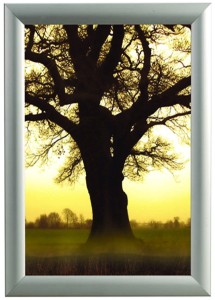 WATERPROOF FRAME 25 MM (7)
